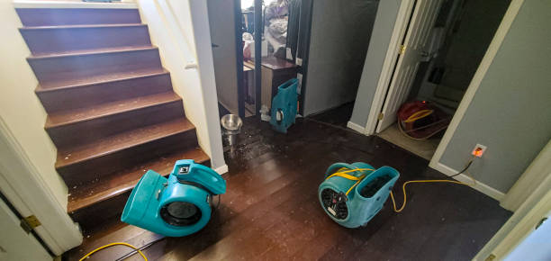  Brandenburg, KY Water damage restoration Pros