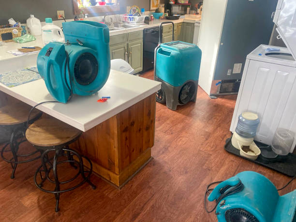 Best Flood damage cleanup  in Brandenburg, KY