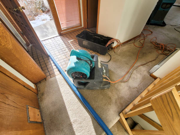 Best Water damage restoration insurance claims  in Brandenburg, KY