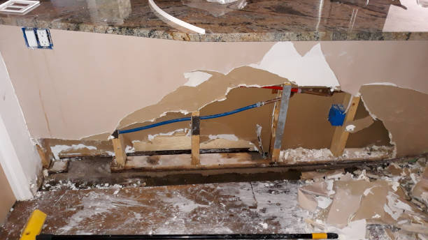 Best Professional water damage repair  in Brandenburg, KY