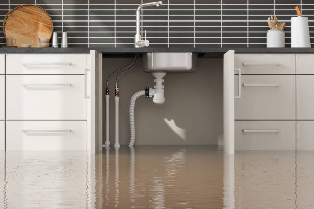 Best Water damage restoration mold remediation  in Brandenburg, KY